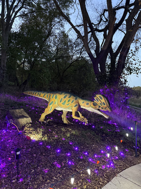 Holidays at the Heard